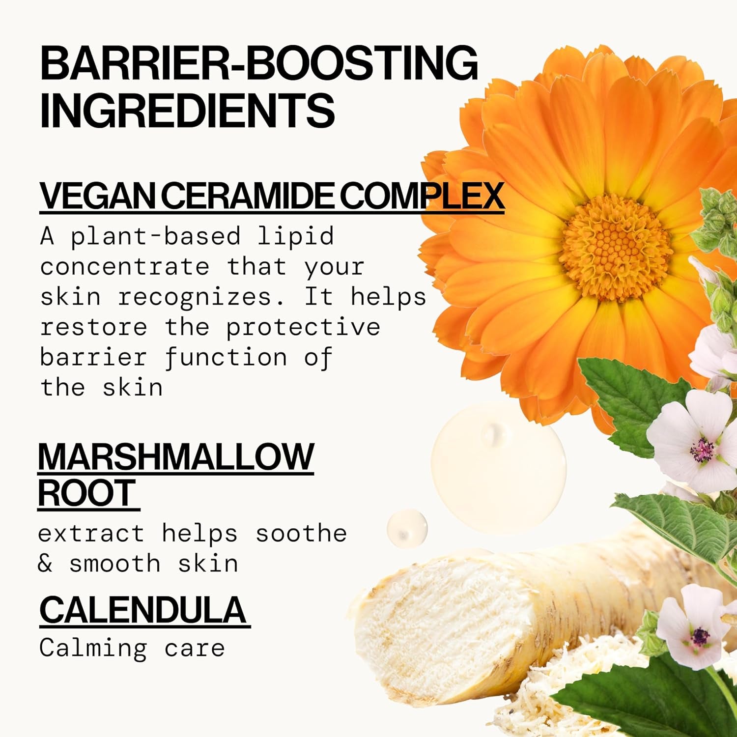 Face Wash Cleanser Vegan Ceramide Barrier Repair Extra Gentle for Daily Use Daily for Sensitive Skin, Fragrance Free, Calendula, Vegan & Cruelty-Free Dermatologist Tested