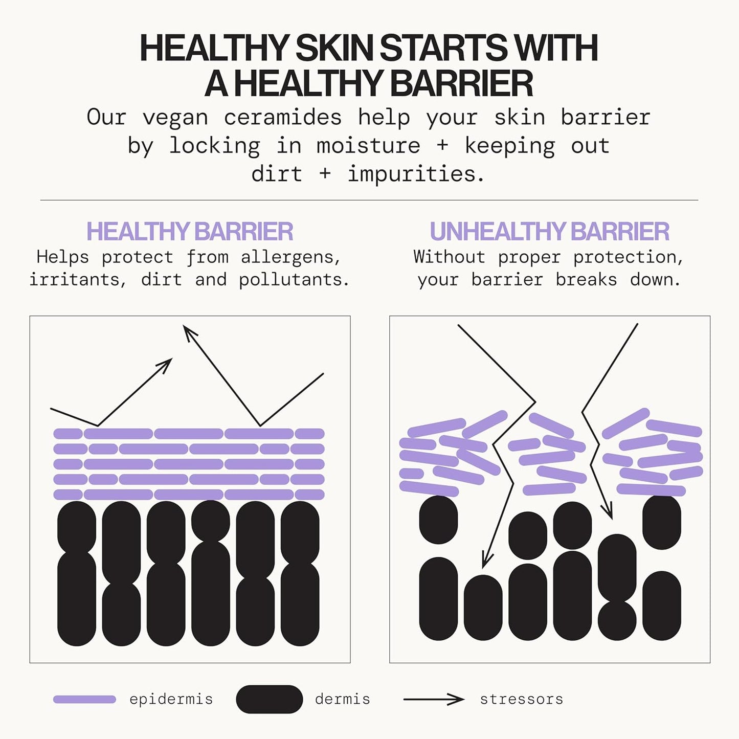 Face Wash Cleanser Vegan Ceramide Barrier Repair Extra Gentle for Daily Use Daily for Sensitive Skin, Fragrance Free, Calendula, Vegan & Cruelty-Free Dermatologist Tested